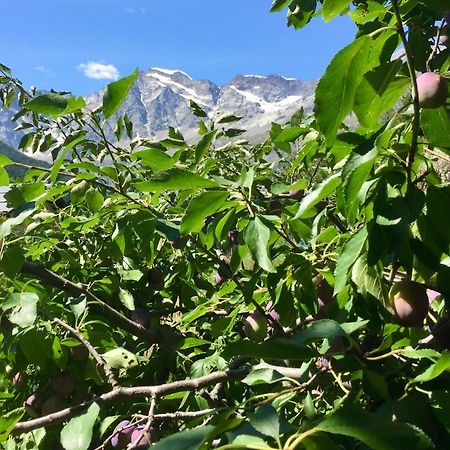 Appartamento Casa Weisstor Con Patio, Giardino E Orti Vista Monte Rosa Macugnaga Exterior foto